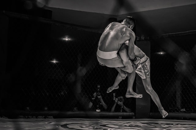 Read more about the article Make Your BJJ Ready for MMA