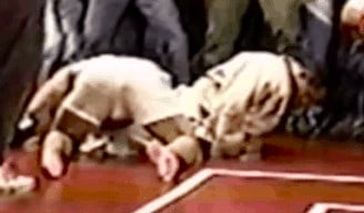 Read more about the article Pedro Sauer – A True BJJ Master